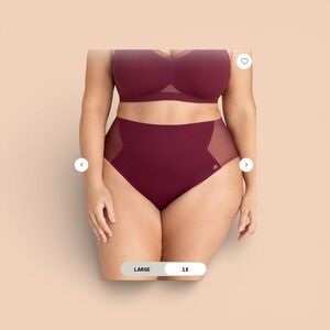 Honeylove CrossOver High Waisted Panty Fig Mesh‎ Shapewear Size XL NWT set of 2